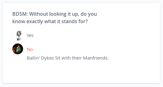Question: "BDSM: Without looking it up, do you know exactly what it stands for?" Answer: "Ballin' Dykes Sit with their Manfriends."